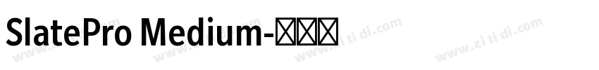 SlatePro Medium字体转换